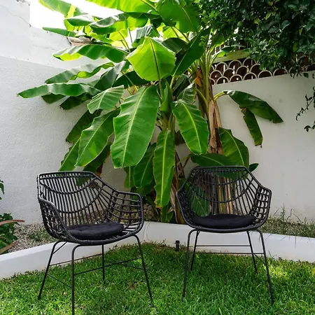 Casa Alejandro 木屋 马尔韦利亚